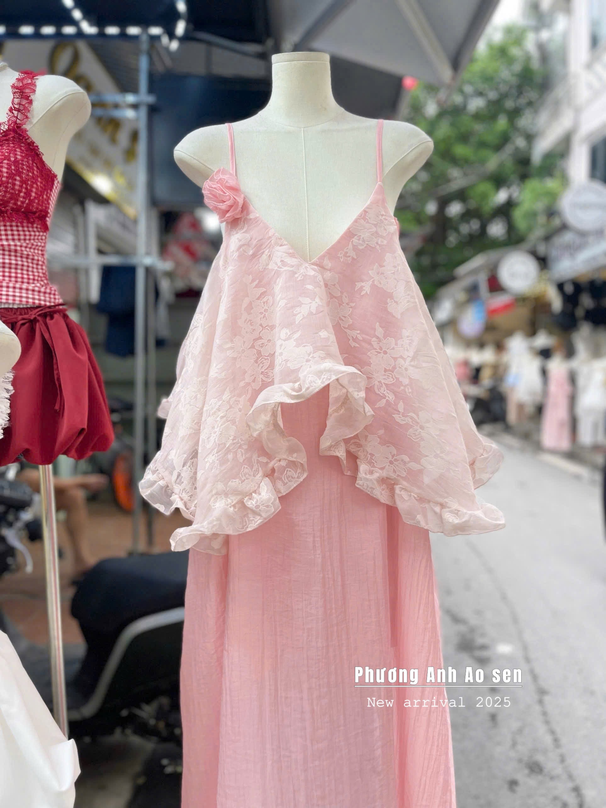 3292 dld hồng