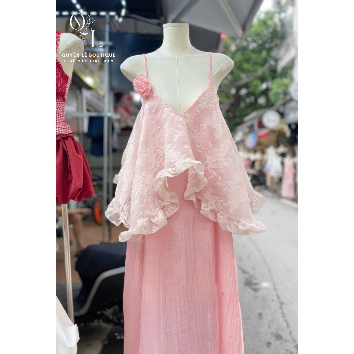 dld hồng